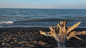 A beach with a large driftwood piece in the foreground and calm sea waves. - Lakefront View w Private BEACH! - Spacious Luxury Estate Home ~ Pet Friendly (Port Stanley)