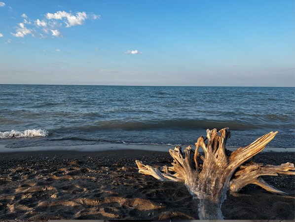 Une plage avec un gros morceau de bois flotté au premier plan et des vagues calmes.