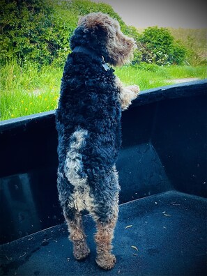 Apartamento | Área da propriedade