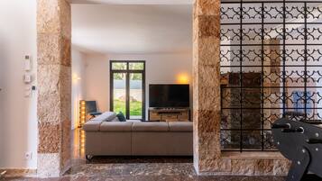 TV, fireplace, video games, DVD player