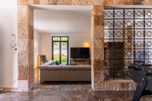 TV, fireplace, video games, DVD player