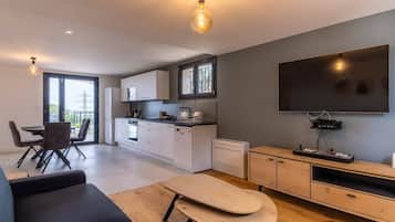 Télévision, cheminée, jeux vidéo, livres