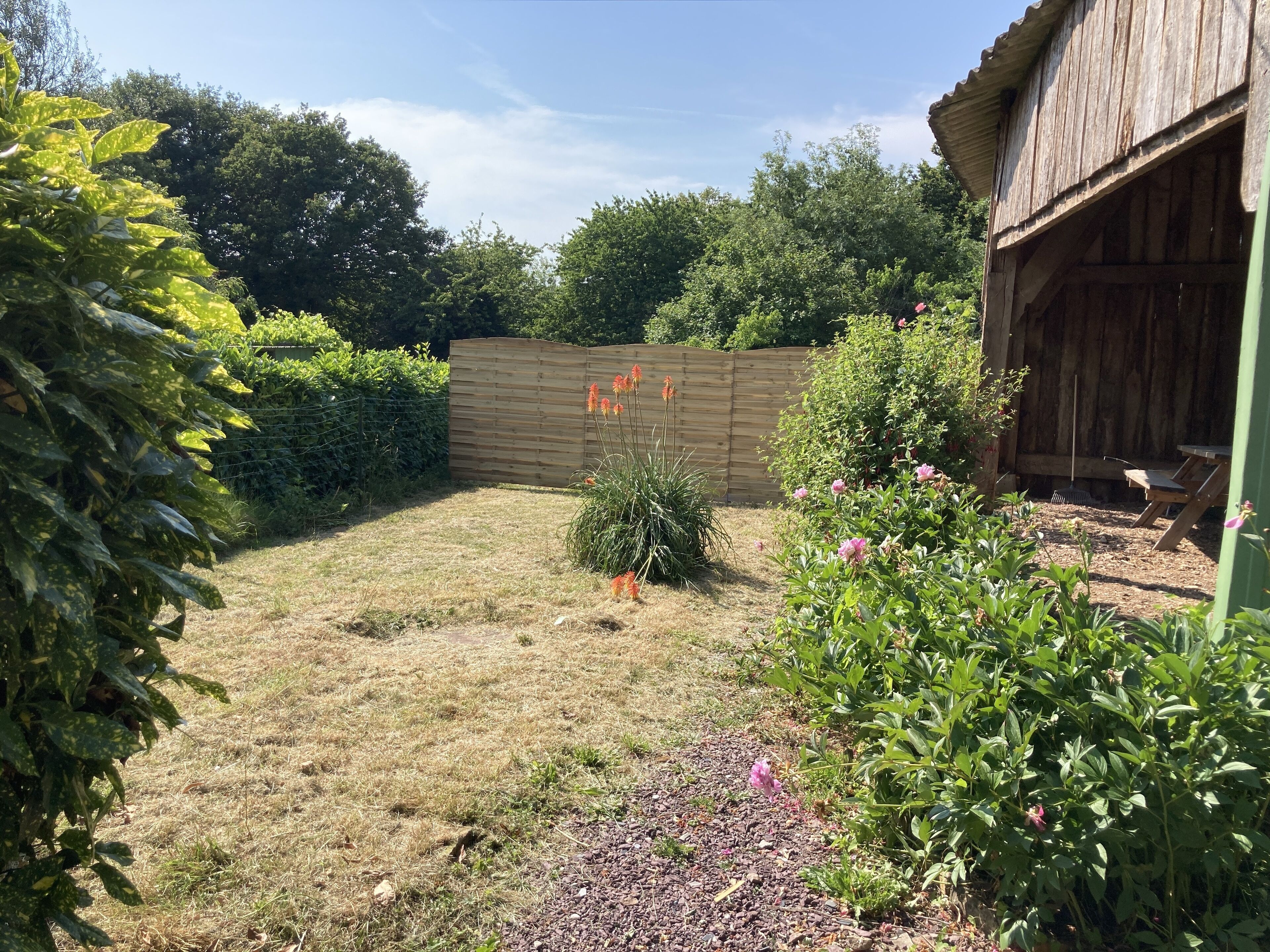 A garden with a wooden fence, a small bush with orange flowers, and a wooden structure on the right.