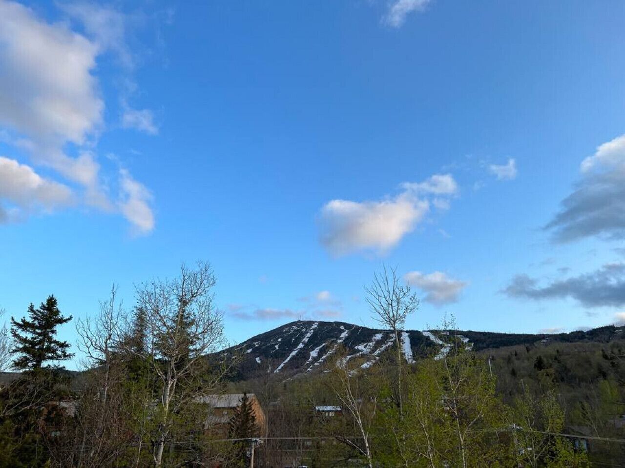 A mountain with a clear sky and sparse vegetation in the foreground.