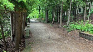 A gravel path in a forested area with trees and a wooden fence. - Stylish Traverse City Condo with Balcony (Traverse City)