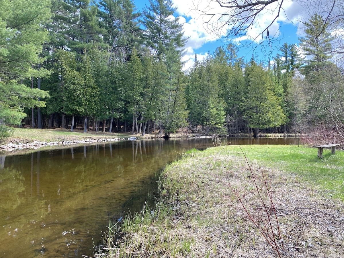 Un paysage paisible au bord d’un lac, avec un banc et de nombreux arbres.
