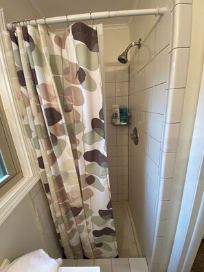 Shower, hair dryer
