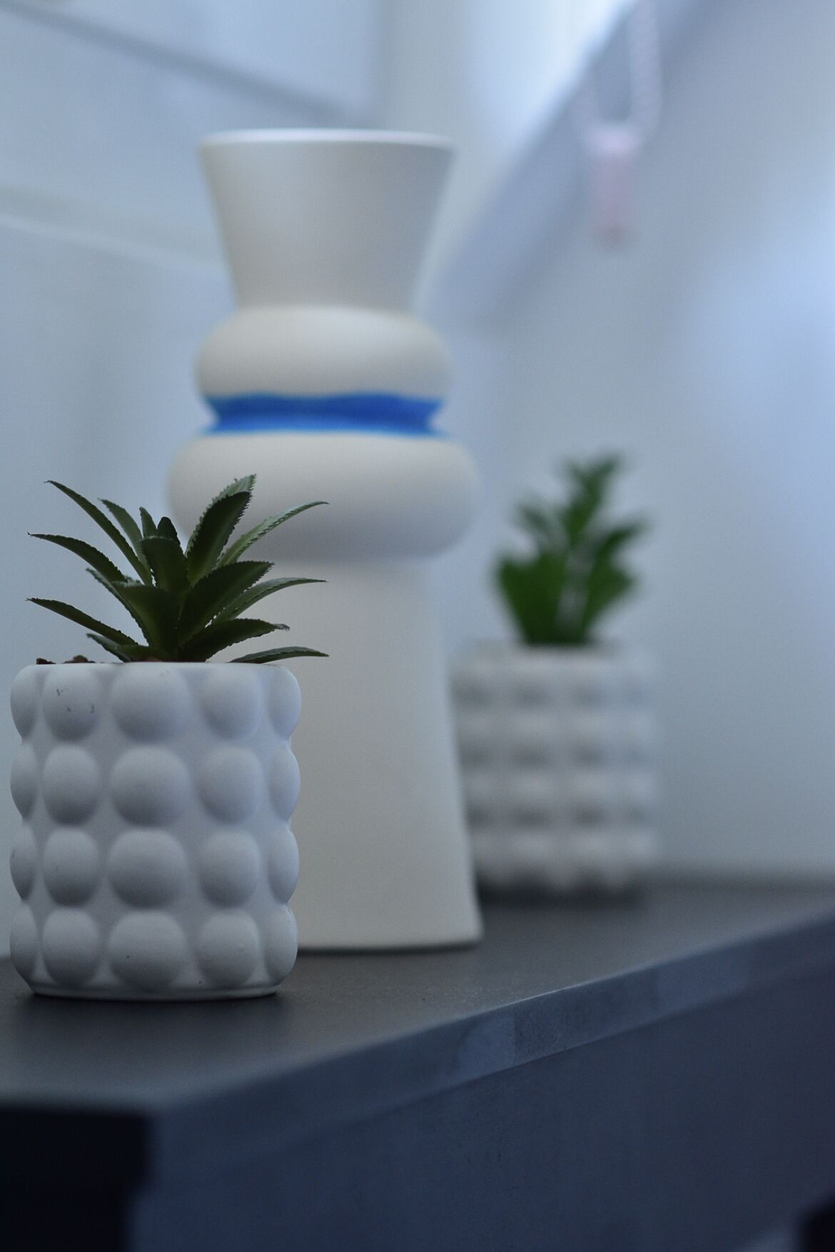 Een witte vaas met een blauwe band, een kleine plant in pot, en nog een plant in pot op een donker oppervlak.