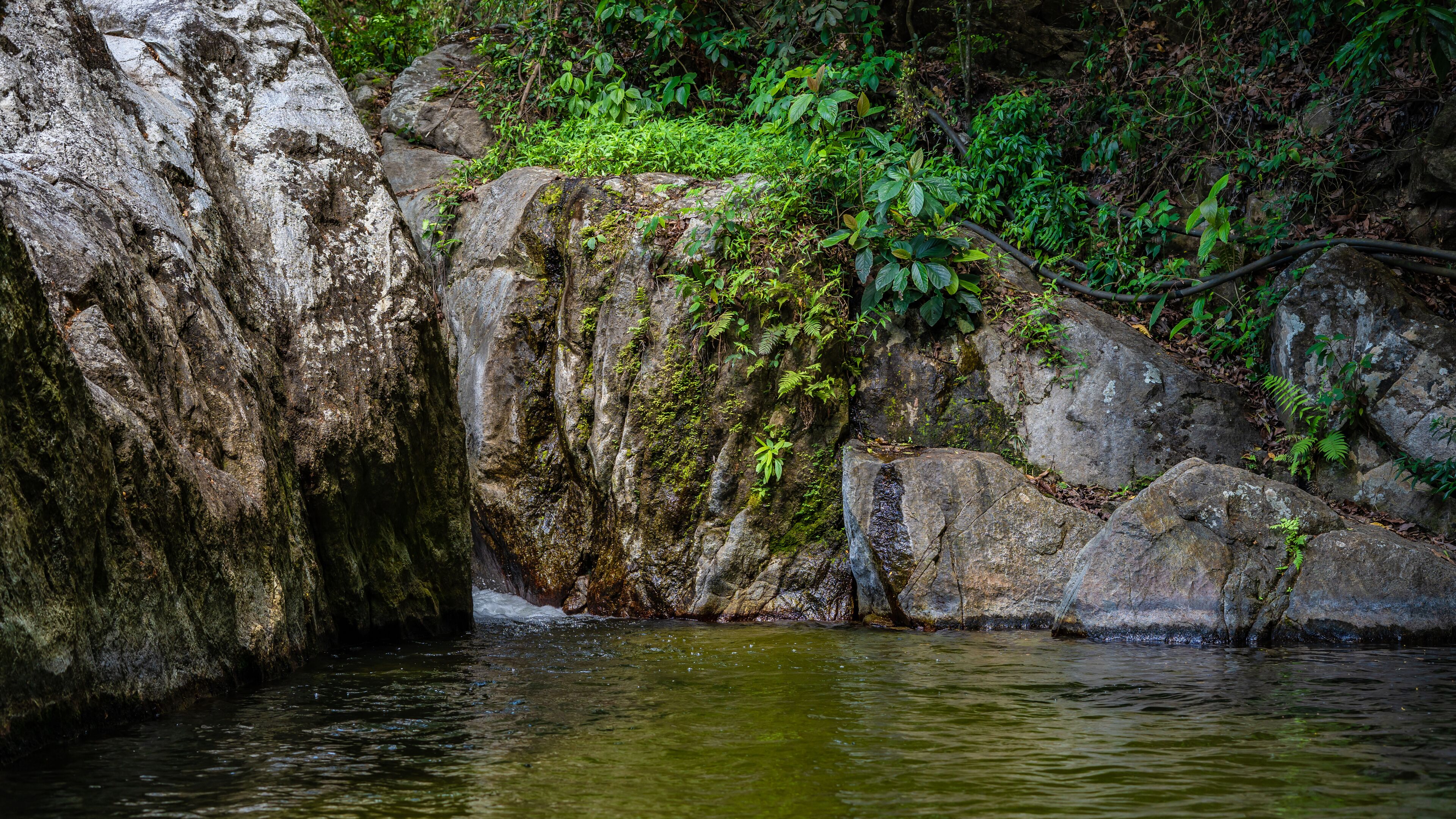 Photo - Hotel Cabañas Club Sierra Limón