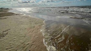 A beach with waves, a clear sky, and a few people in the distance.