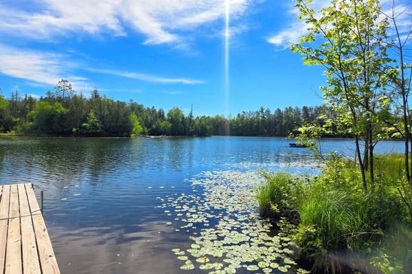 Sunny lake view from the dock. Private peninsula and swim raft.
