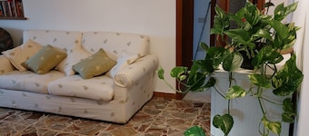 Conny's Green House