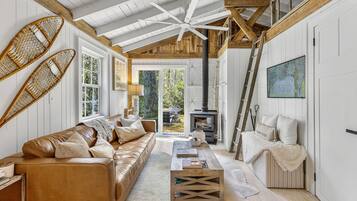 TV connectée, cheminée, livres