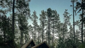 A lodge with a wooden exterior, surrounded by a gravel driveway and a fenced area.
