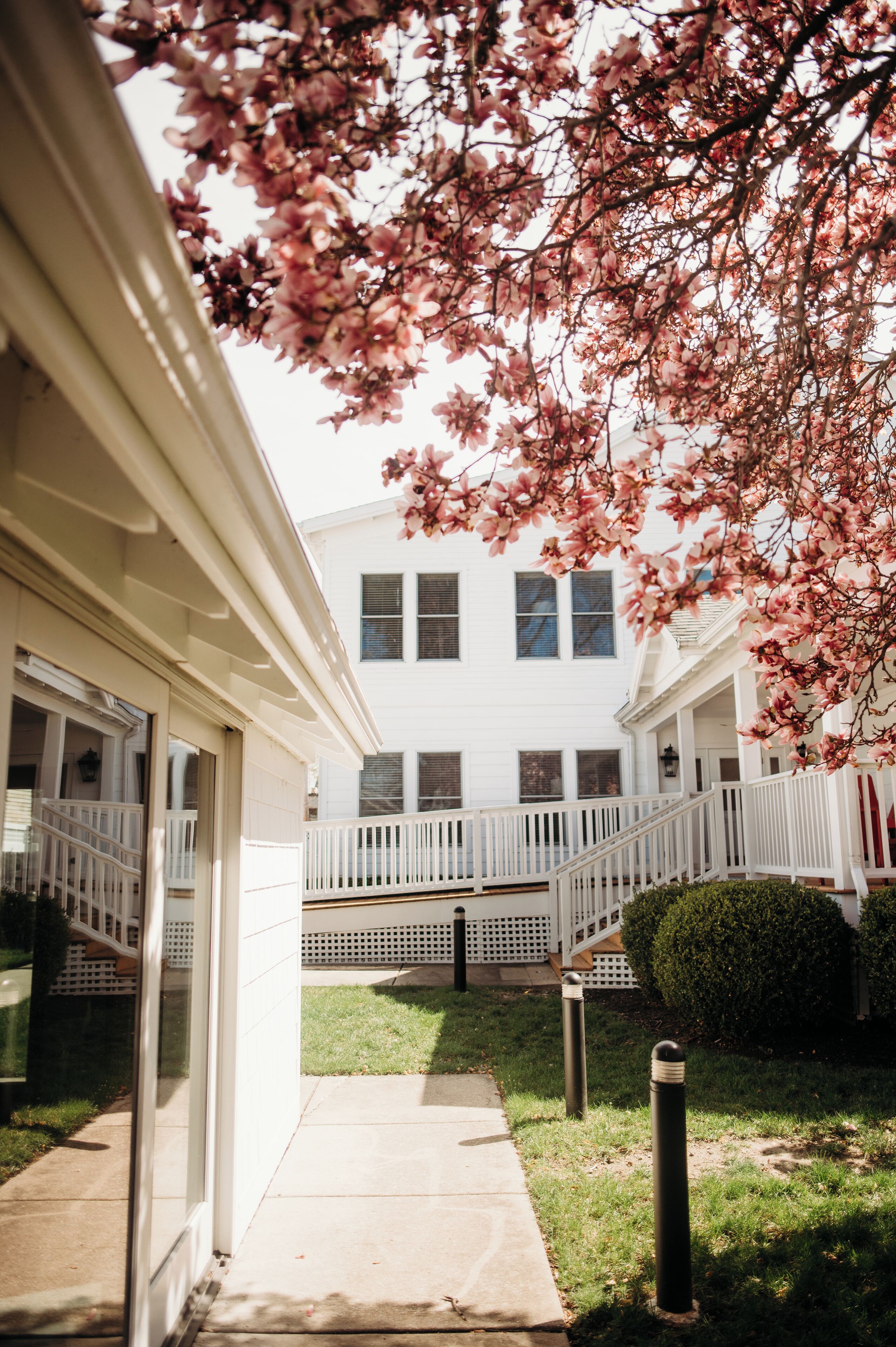 Overnattingsstedets uteområder