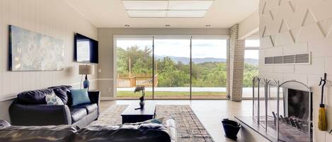 TV, fireplace, books