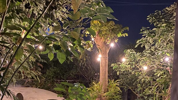 Un área de piscina con una estructura de ladrillo, plantas en macetas e iluminación con luces colgantes.