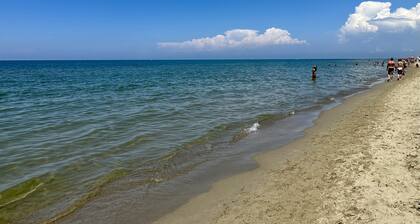Colors House On The Beach by Pleiades Home