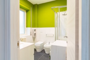 Shower, hair dryer, bidet, towels