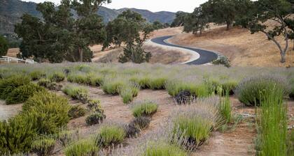 Majestic 3 Bed, 2 story loft/majestic farm in Paso Robles