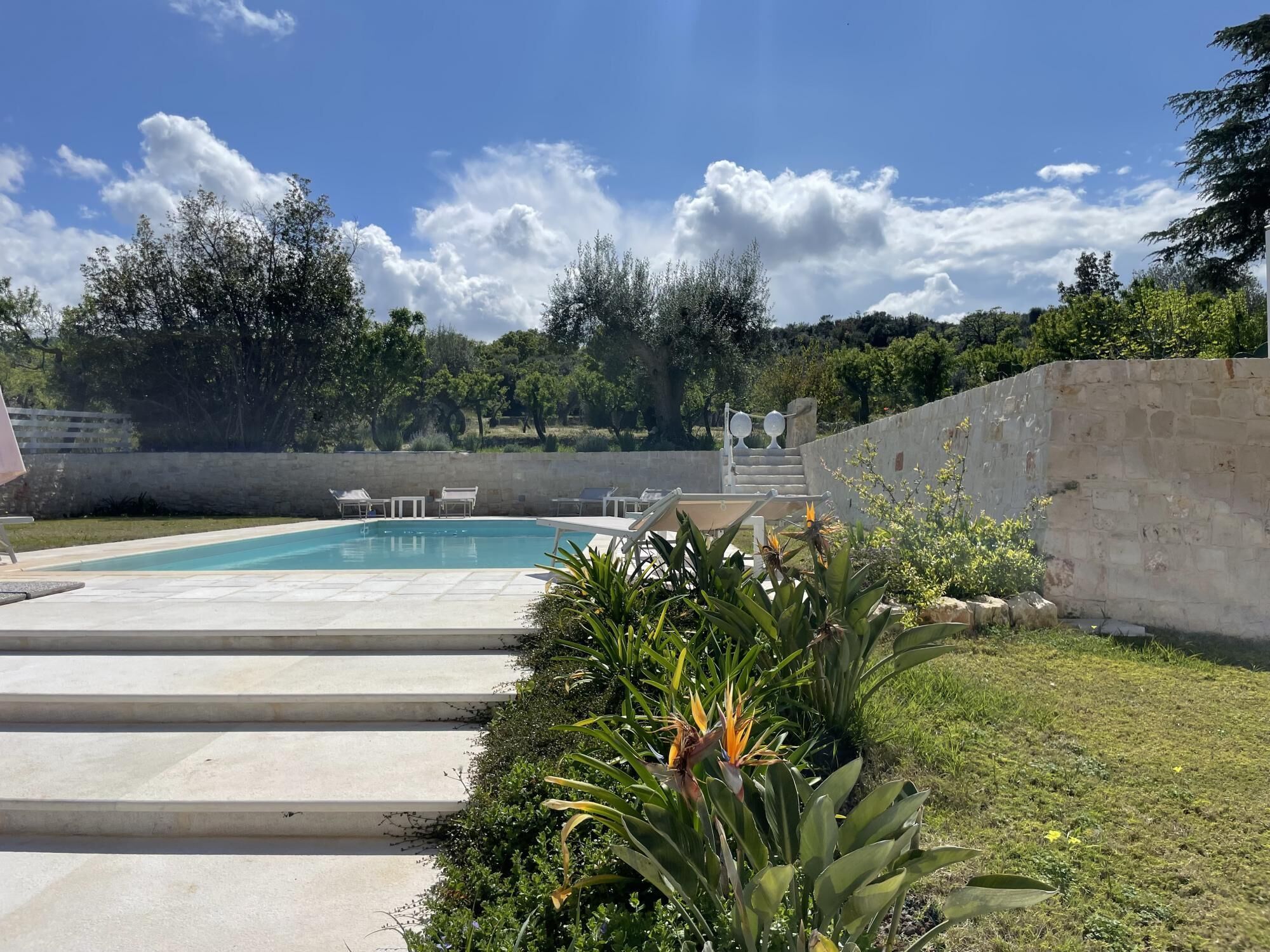 A swimming pool with steps leading into it, surrounded by a stone wall and greenery.