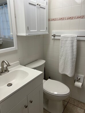 A bathroom with a white sink, a toilet, and a towel rack. - Tropical Hideaway in Downtown Flagler Beach (Flagler Beach)