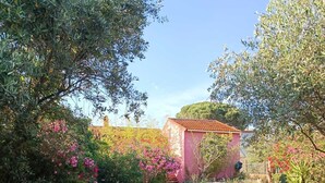 A gravel path leading to a pink building surrounded by lush greenery and flowering plants. - Maison de Vacances, Proche de la Plage! (Fréjus)