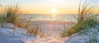 DreamWaver - Beautiful new home w/ pool steps from the beach!