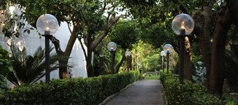 The Citrus Garden