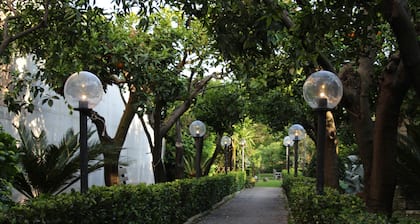 The Citrus Garden