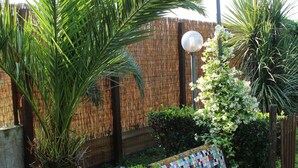 A garden with a bench, palm trees, and a bamboo fence. - The Citrus Garden (San Marco Evangelista)