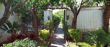 Terrein van de accommodatie