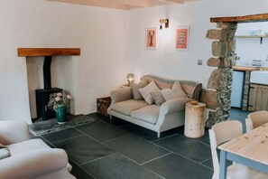 TV, fireplace - Cute and cosy 2 bed cottage in beautiful Solva (Solva)
