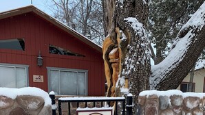 Property entrance - Beeline Guest House (Pine)