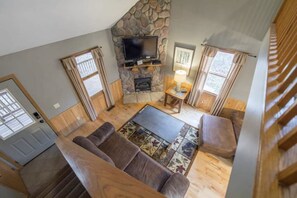 Televisión, chimenea y reproductor de DVD