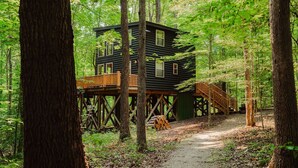 Uma cabana construída sobre pilares numa floresta, com um deck de madeira e uma trilha de terra que leva até ela.