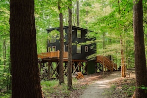 Eine auf Stelzen stehende Holzhütte im Wald, mit einer Holzterrasse und einem Feldweg, der dorthin führt.