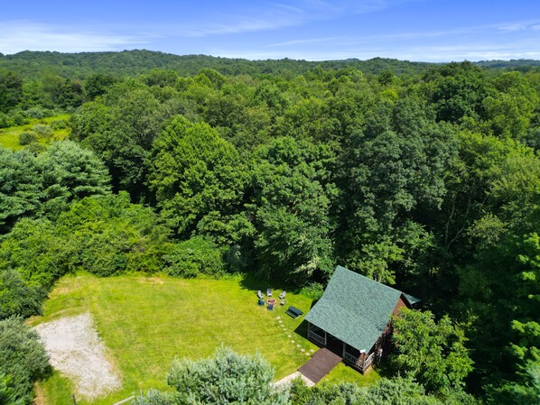 A house surrounded by dense forest with a clear sky.