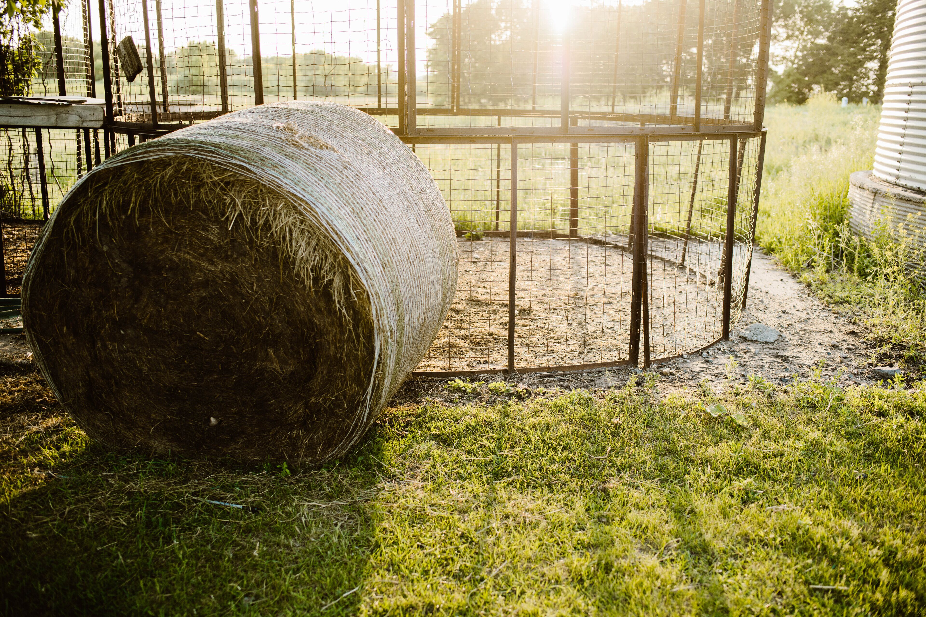A hay bale in a fenced area with a metal structure nearby.