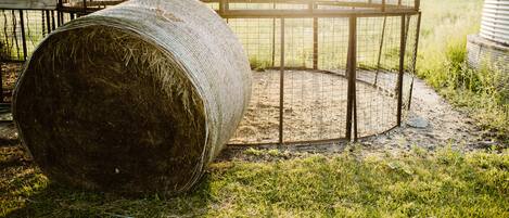 A hay bale in a fenced area with a metal structure nearby.