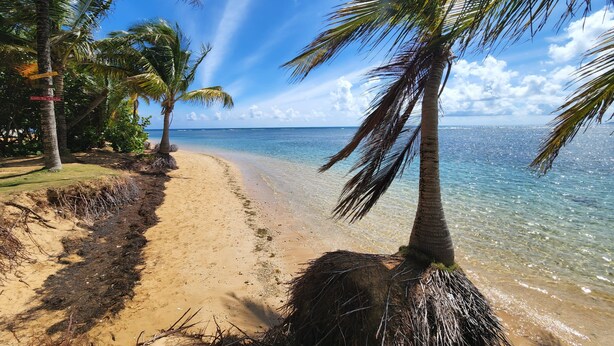 Ein Strand mit klarem türkisblauem Wasser, Palmen und einem sandigen Pfad zum Ufer.