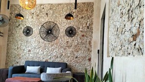 Una sala de estar moderna con una pared de piedra, un sofá oscuro, una mesa de centro y una planta en maceta.