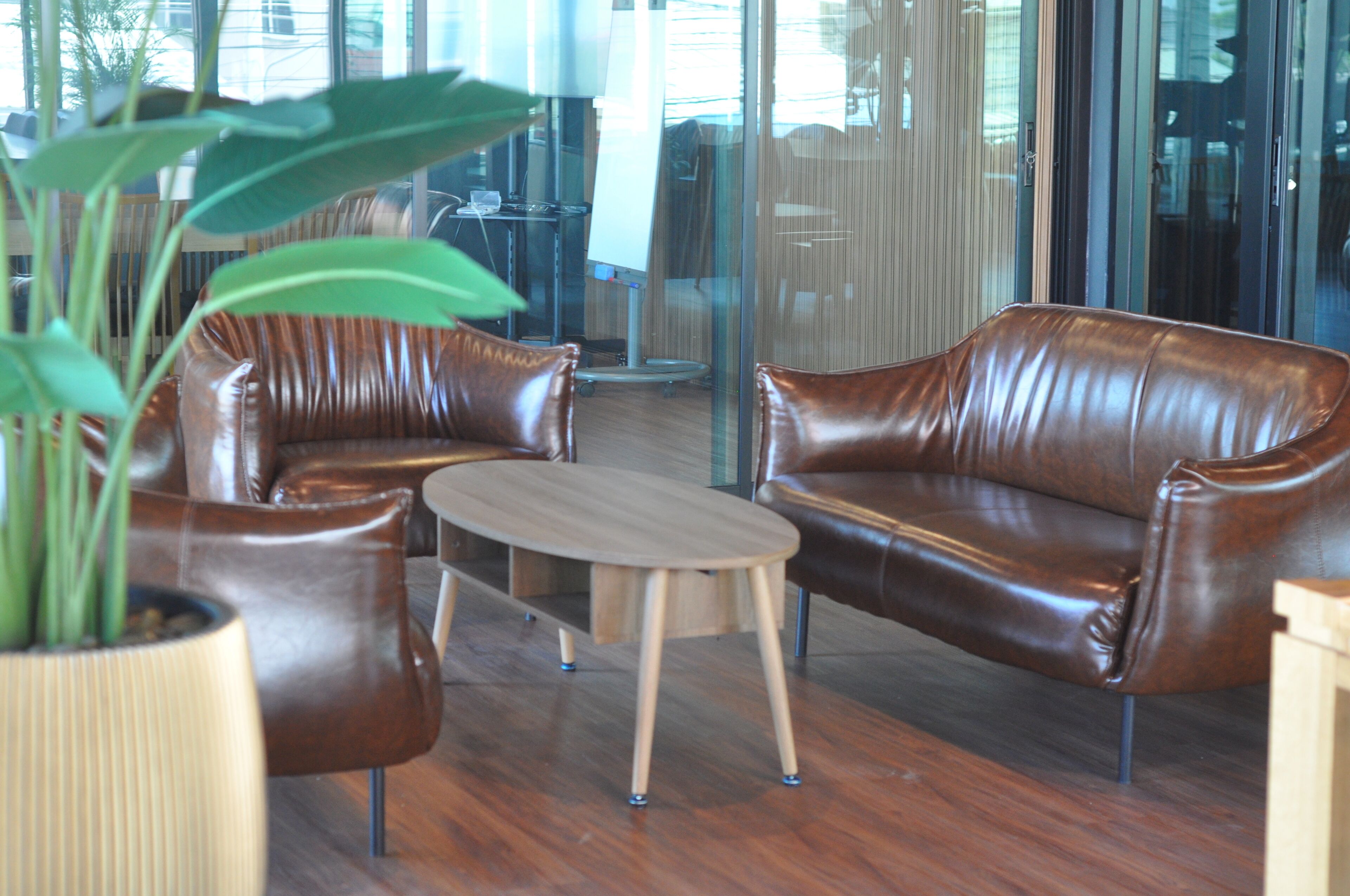 A modern lounge area with leather sofas, a wooden coffee table, and a potted plant.