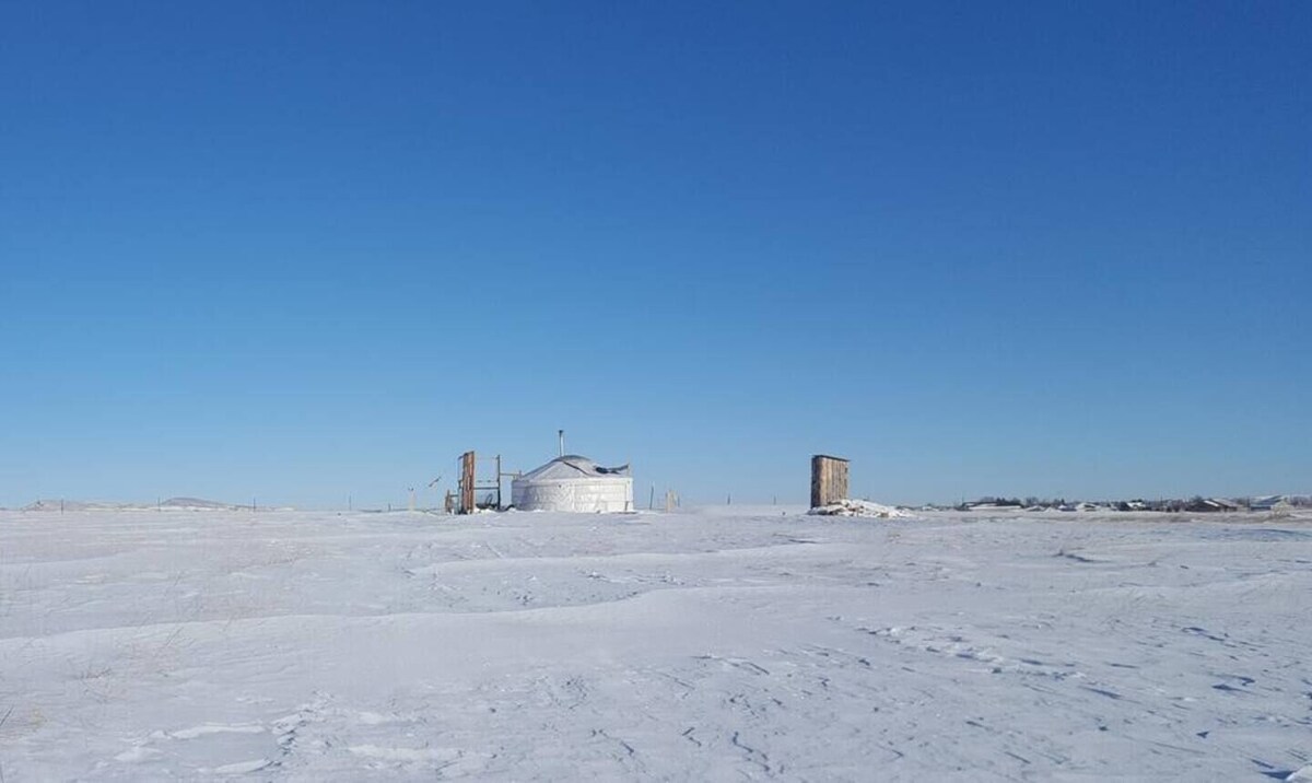 Værtens profilbillede