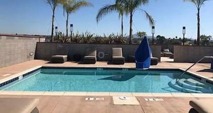 King Beds Suite 307NC