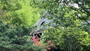 Une maison entourée d’une végétation luxuriante et de plantes en fleurs.