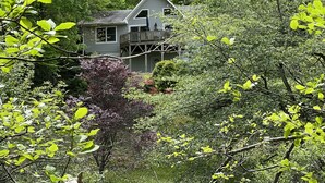 Une maison entourée d’une végétation luxuriante, avec une terrasse bien visible et une petite fenêtre.