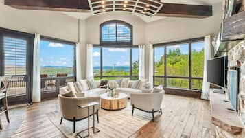 TV, fireplace, books