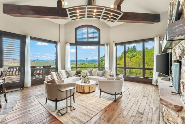 TV, fireplace, books