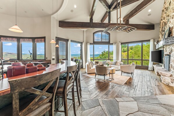 TV, fireplace, books